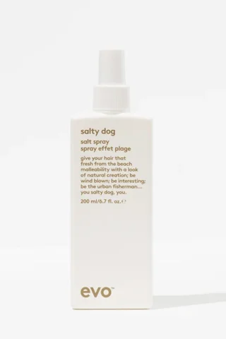 SALTY DOG SALT SPRAY